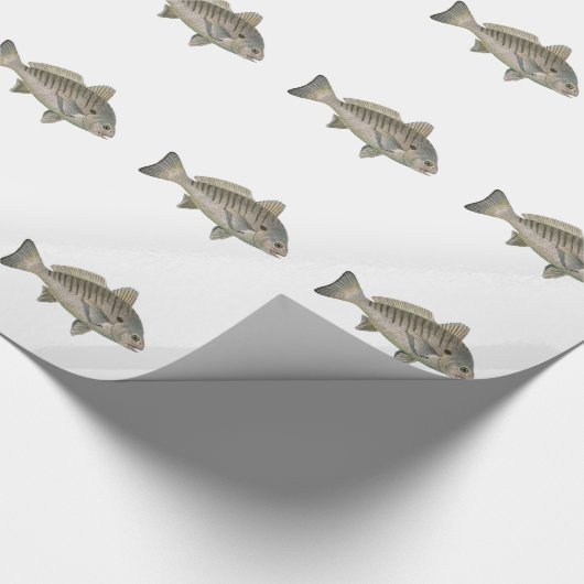 Stellen-Fische Geschenkpapier (Ecke)