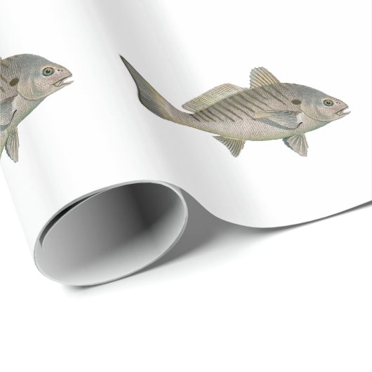 Stellen-Fische Geschenkpapier (Rolleneckpunkt)