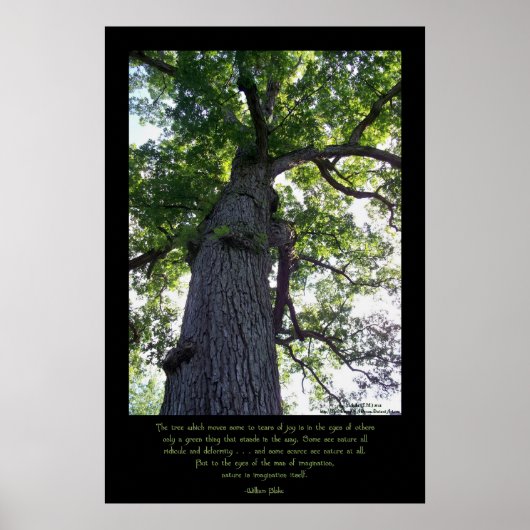 Stellen Poster (Vorne)