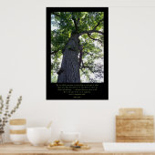 Stellen Poster (Küche)