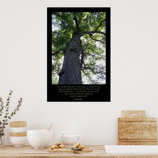 Stellen Poster (Küche)