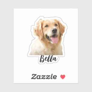 Stellen Sie das Foto Ihres Tieres mit Namen ein Aufkleber