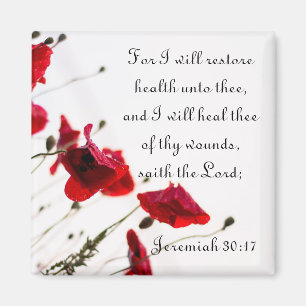 Stellen Sie Gesundheit wieder her und heilen Sie Magnet