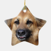 Stellen Sie Ihr eigenes Haustier-Foto her Keramik Ornament (Vorne)