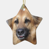 Stellen Sie Ihr eigenes Haustier-Foto her Keramik Ornament (Links)