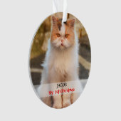 Stellen Sie Ihr eigenes Katzen-Foto her Ornament (Vorderseite)