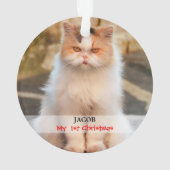 Stellen Sie Ihr eigenes Katzen-Foto her Ornament (Rückseite)