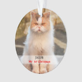 Stellen Sie Ihr eigenes Katzen-Foto her Ornament (Vorderseite)