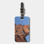 Stellen Sie Ihr eigenes kundenspezifisches Gepäckanhänger (Vorderseite vertikal)