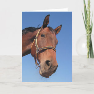 Stellen Sie Ihr eigenes kundenspezifisches Karte