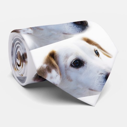 Stellen Sie Ihre eigene Krawatte her (Gerollt)