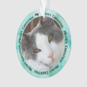 Stellen Sie Ihre eigene Ornament (Vorderseite)