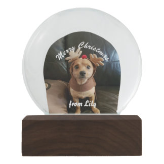 Stellen Sie Ihre eigene Schnekugel der frohen Schneekugel