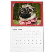 Stellen Sie Ihre eigenen Haustier-Fotos und Kalender (Feb 2026)