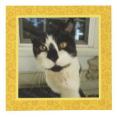 Stellen Sie Ihren eigenen 5 quadratischen Würfel (Vorderseite)