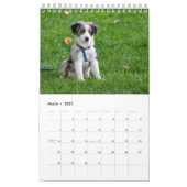 Stellen Sie mir jeden Monat weiße Hundbilder vor Kalender (Mär 2027)