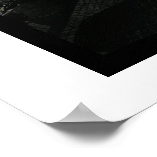 Stellen Sie sich den Mosaic Central Park vor Poster (Ecke)