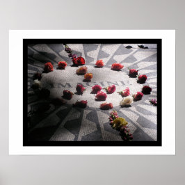 Stellen Sie sich den Mosaic Central Park vor Poster