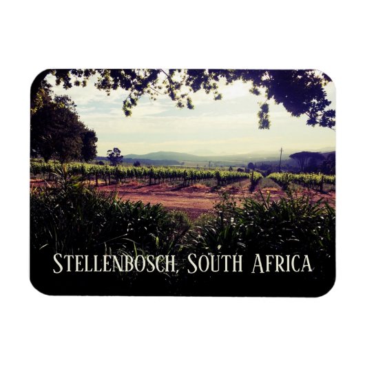 Stellenbosch, Südafrika Magnet (Horizontal)