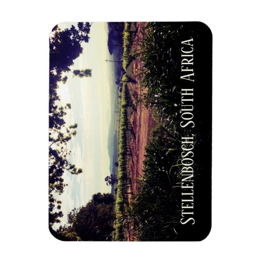 Stellenbosch, Südafrika Magnet (Vertikal)