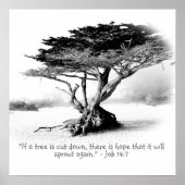 Stellenplan 14:7 poster (Vorne)