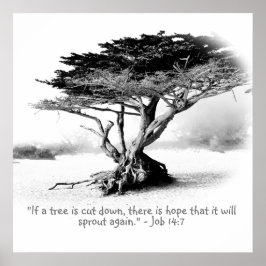 Stellenplan 14:7 poster