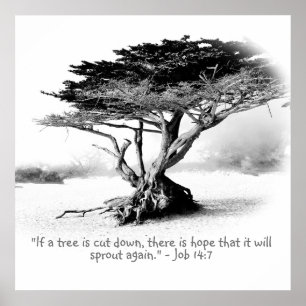 Stellenplan 14:7 poster