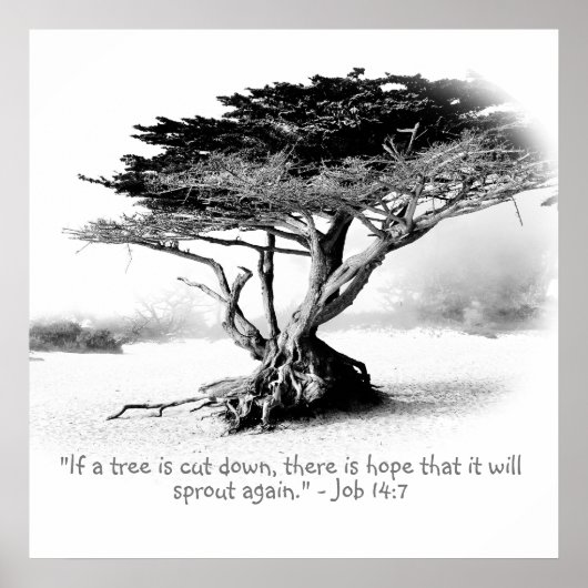 Stellenplan 14:7 poster (Vorne)