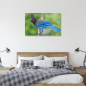Steller-Jay 1 Leinwanddruck (Insitu (Schlafzimmer))