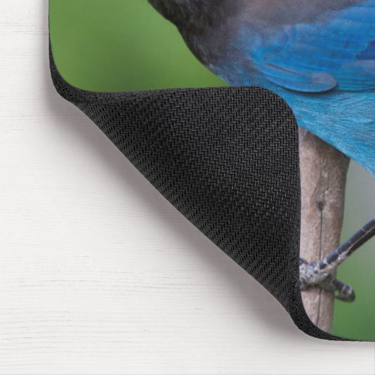 Steller-Jay 1 Mousepad (Ecke)