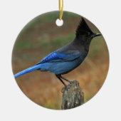 Steller-Jay (Cyanocitta stelleri) Keramik Ornament (Vorne)