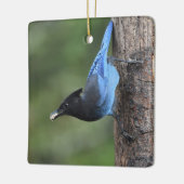 Steller-Jay (Cyanocitta stelleri) Keramikornament (Links)