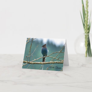 Steller Jay Dankeskarten Dankeskarte