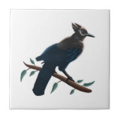 Steller-Jay Fliese (Vorderseite)