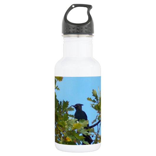 Steller Jay im Eichen-Baum Edelstahlflasche (Vorderseite)