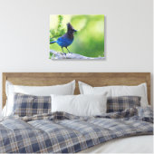 Steller-Jay Leinwanddruck (Insitu (Schlafzimmer))