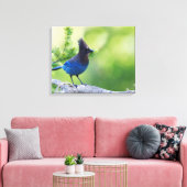Steller-Jay Leinwanddruck (Insitu (Wohnzimmer))