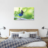 Steller-Jay Leinwanddruck (Insitu (Schlafzimmer))