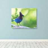 Steller-Jay Leinwanddruck (Insitu (Holzboden))