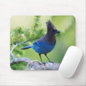 Steller-Jay Mousepad (Mit Mouse)