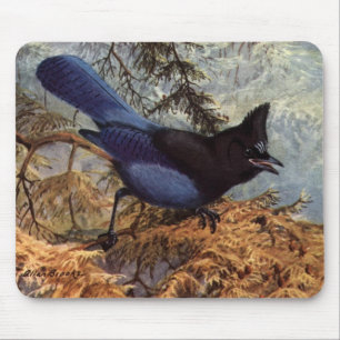 Steller-Jay Mousepad