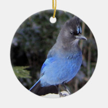 Steller-Jay-Ornament