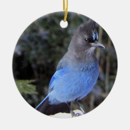 Steller-Jay-Ornament Keramik Ornament
