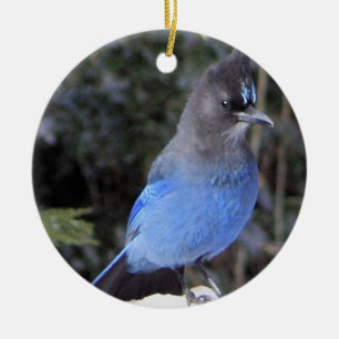 Steller-Jay-Ornament Keramik Ornament
