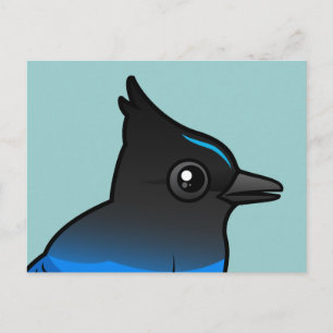 Steller-Jay Postkarte