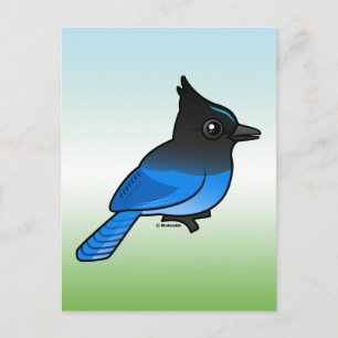 Steller-Jay Postkarte