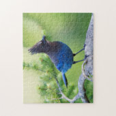 Steller-Jay Puzzle (Vertikal)