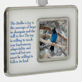 Steller-Jay Rahmen-Ornament Silber (Rechts)