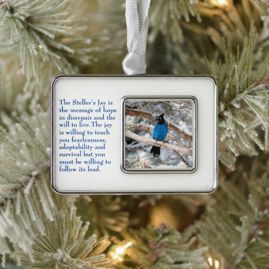 Steller-Jay Rahmen-Ornament Silber (Baum)