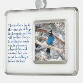 Steller-Jay Rahmen-Ornament Silber (Links)